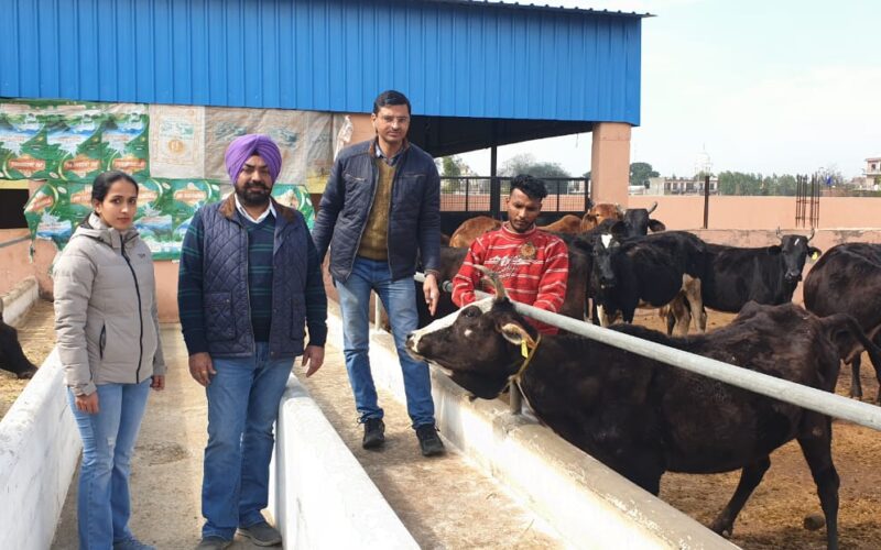 ਡੇਰਾਬਸੀ ‘ਚ ਲੰਪੀ ਸਕਿਨ ਬਿਮਾਰੀ ਵਿਰੁੱਧ ਟੀਕਾਕਰਨ ਮੁਹਿੰਮ ਸ਼ੁਰੂ