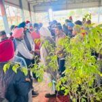 ਡੇਰਾਬੱਸੀ ਵਿਖੇ ਲਵਲੀ ਫਾਊਂਡੇਸ਼ਨ ਵੱਲੋਂ ਰੁੱਖ ਲਗਾਉਣ ਕੈਂਪ ਦਾ ਆਯੋਜਨ, ਵਿਧਾਇਕ ਰੰਧਾਵਾ ਨੇ ਮੁੱਖ ਤੌਰ ਤੇ ਪਹੁੰਚੇ