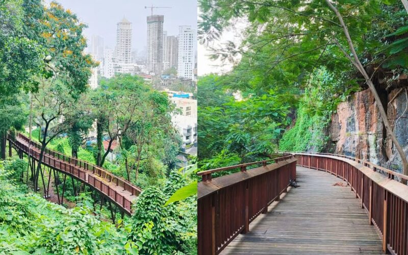 ਮੁੰਬਈ ਦੇ ਮਾਲਾਬਾਰ ਹਿੱਲ ‘ਚ ਖੋਲ੍ਹਿਆ ਗਿਆ ਪਹਿਲਾ ਉੱਚਾ ਕੁਦਰਤੀ ਰਸਤਾ, ਹੁਣ ਰੁੱਖਾਂ ਦੀਆਂ ਚੋਟੀਆਂ ਵਿਚਕਾਰ ਸੈਰ ਦਾ ਆਨੰਦ ਮਾਣੋ