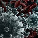 ਪੰਜਾਬ ਸਰਕਾਰ ਨੇ ਕੋਰੋਨਾ ਦੇ ਨਵੇਂ ਵੇਰੀਐਂਟ ਨਾਲ ਨਜਿੱਠਣ ਲਈ ਰਣਨੀਤੀ ਤਿਆਰ, ਮੋਹਾਲੀ ਵਿੱਚ ਪਹਿਲਾ ਕੇਸ ਆਇਆ ਸਾਹਮਣੇ