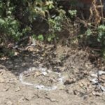 ਅੰਮ੍ਰਿਤਸਰ 'ਚ ਪੁਲਿਸ ਦਾ ਵੱਡਾ ਐਕਸ਼ਨ! ISI ਆਧਾਰਤ ਅਤਿਵਾਦੀ ਮਾਡਿਊਲ ਦਾ ਪਰਦਾਫਾਸ਼, BKI ਦੇ ਦੋ ਗੁਰਗੇ ਕਾਬੂ