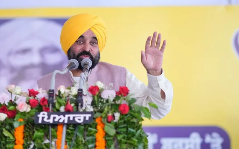 ਹੁਣ ਨਹੀਂ ਹੋਵੇਗੀ ਹਾਈਬ੍ਰਿਡ ਝੋਨੇ ਦੀ ਸਰਕਾਰੀ ਖਰੀਦ, ਹਾਈ ਕੋਰਟ ਦੇ ਤਾਜ਼ਾ ਆਦੇਸ਼ਾਂ ਤੋਂ ਬਾਅਦ ਸਰਕਾਰ ਹੋਈ ਸਰਗਰਮ, ਕੇਂਦਰ ਤੇ FCI ਨੂੰ ਧਿਰ ਬਣਾਉਣ ਦੀ ਤਿਆਰੀ