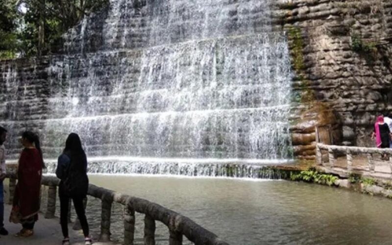 ਚੰਡੀਗੜ੍ਹ ਦੇ ਰੋਕ ਗਾਰਡਨ’ਚ ਅਚਾਨਕ ਡਿੱਗਿਆ ਦਰਖਤ, ਵਾਪਰਿਆ ਵੱਡਾ ਹਾਦਸਾ