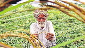 ਕਿਸਾਨੀ ਕਰਜ਼ੇ ‘ਚ ਪੰਜਾਬ ਦੇਸ਼ ‘ਚ ਤੀਜੇ ਨੰਬਰ ‘ਤੇ, ਆਂਧਰਾ ਪ੍ਰਦੇਸ਼ ਸਭ ਤੋਂ ਅੱਗੇ