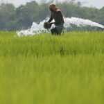 ई-भूमि नीति बनी किसानों की जीवनरेखा