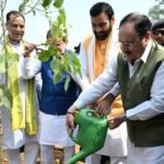 रोहतक में नमो वन का केंद्रीय स्वास्थ्य मंत्री जगत प्रकाश नड्डा व मुख्यमंत्री नायब सिंह सैनी ने किया उद्घाटन