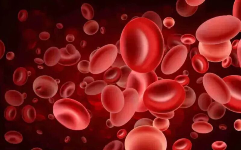 ਪਲੇਟਲੈਟਸ ਦਾ ਪੱਧਰ ਘੱਟਣ ‘ਤੇ ਚਿੰਤਾ ਦਾ ਖ਼ਤਰਾ ਕਦੋਂ ਵਧਦਾ, ਮਾਹਿਰਾਂ ਨੇ ਚੇਤਾਵਨੀ ਦਿੱਤੀ