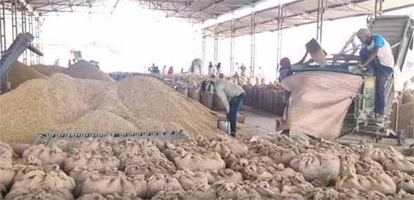 ਕੱਲ੍ਹ ਤੋਂ ਸ਼ੁਰੂ ਹੋਵੇਗੀ ਝੋਨੇ ਦੀ ਸਰਕਾਰੀ ਖਰੀਦ, ਦਾਣਾ ਮੰਡੀ ਖੰਨਾ ਦੇ ਪ੍ਰਬੰਧਾਂ ਤੋਂ ਕਿਸਾਨ ਤੇ ਆੜ੍ਹਤੀ ਖ਼ੁਸ਼