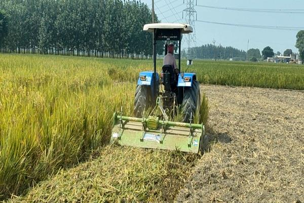 ਹੜ੍ਹਾਂ ਮਗਰੋਂ ਪੰਜਾਬ ‘ਤੇ ਪਈ ਇਕ ਹੋਰ ਮਾਰ! CM ਭਗਵੰਤ ਮਾਨ ਨੂੰ ਲਾਈ ਗਈ ਗੁਹਾਰ