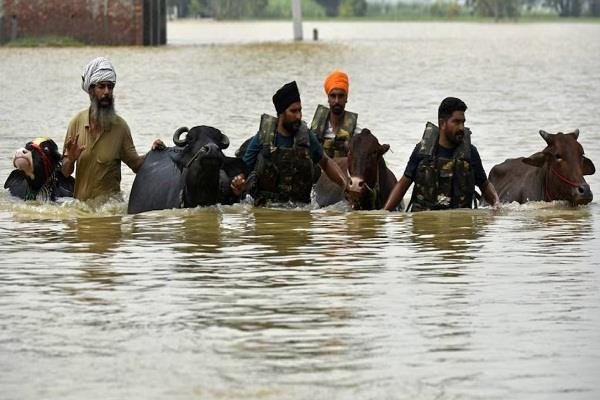 ਹੜ੍ਹਾਂ ਨੂੰ ਲੈ ਕੇ ਮੰਤਰੀ ਬਰਿੰਦਰ ਕੁਮਾਰ ਗੋਇਲ ਦਾ ਵੱਡਾ ਬਿਆਨ, ਦੱਸਿਆ ਕਿਸ ਵਜ੍ਹਾ ਕਾਰਨ ਡੁੱਬਿਆ ਪੰਜਾਬ