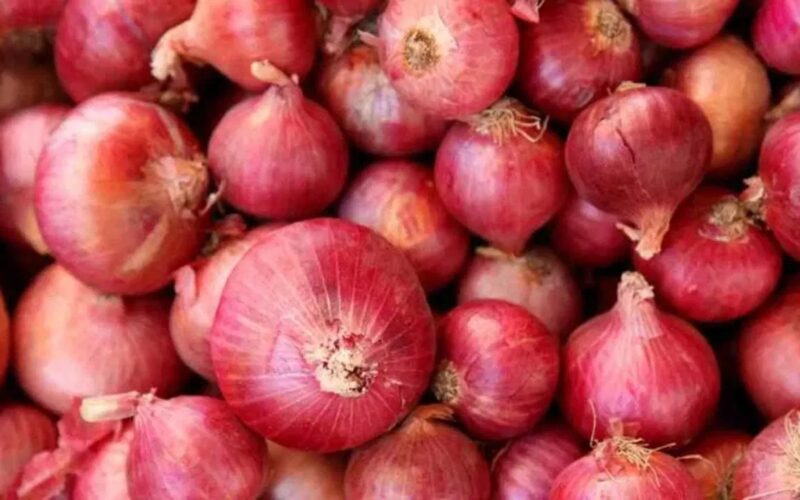 ਕਿਸਾਨਾਂ ਨੂੰ ਦੋਹਰੀ ਮਾਰ: ਮੀਂਹ ਨਾਲ ਫਸਲਾਂ ਤਬਾਹ, ਡਿੱਗਦੀਆਂ ਕੀਮਤਾਂ ਵਿਤੀ ਨੁਕਸਾਨ ਨੂੰ ਵਧਾਉਂਦੀਆਂ