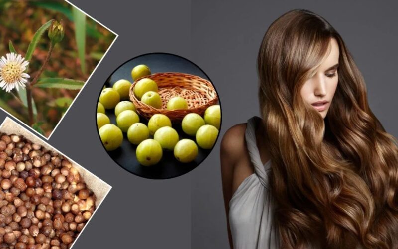 ਸਰਦੀਆਂ ‘ਚ ਵਾਲਾਂ ਦੇ ਝੜਨ ਤੇ ਡੈਂਡਰਫ ਤੋਂ ਰਾਹਤ ਪਾਉਣ ਲਈ ਆਸਾਨ ਘਰੇਲੂ ਉਪਚਾਰ