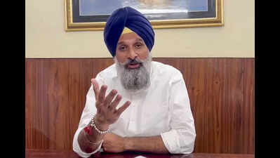 ਮਜੀਠੀਆ ਦੀ ਜ਼ਮਾਨਤ ਅਰਜ਼ੀ ‘ਤੇ ਹਾਈ ਕੋਰਟ ‘ਚ ਹੋਈ ਸੁਣਵਾਈ, ਜਵਾਬ ਦਾਇਰ ਕਰਨ ਲਈ ਸਰਕਾਰ ਨੇ ਮੰਗਿਆ ਸਮਾਂ