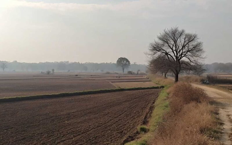 ਪੰਜਾਬ ਦੇ ਮੌਸਮ ‘ਚ ਕੋਈ ਖਾਸ ਬਦਲਾਅ ਨਹੀਂ, ਦੀਵਾਲੀ ਦੇ ਮੌਕੇ ਹਵਾ ਹੋ ਸਕਦੀ ਪ੍ਰਦੂਸ਼ਤ