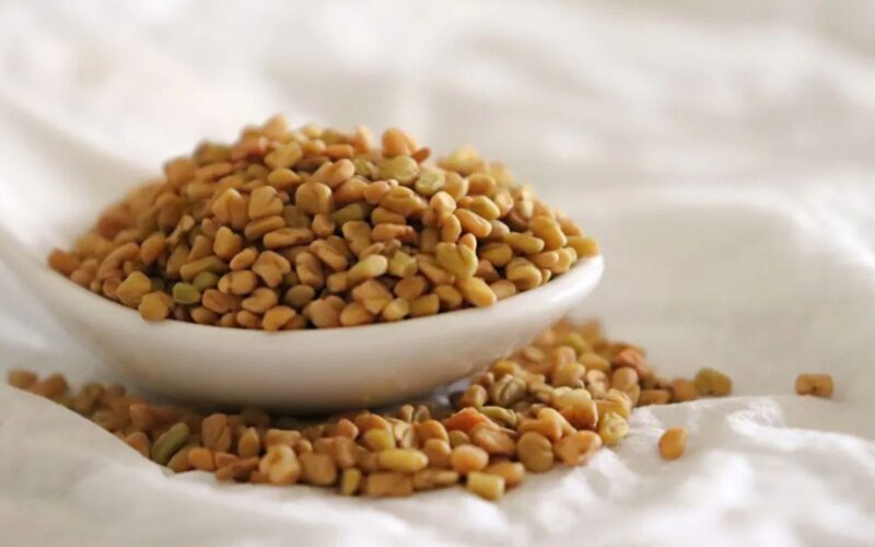 ਮੇਥੀ ਦੇ ਬੀਜਾਂ ਦਾ ਪਾਣੀ ਹਰ ਕਿਸੇ ਲਈ ਨਹੀਂ ! ਮਾਹਰ ਦੱਸਦੇ ਹਨ ਕਿ ਇਸਦਾ ਸੇਵਨ ਕਰਨ ਵੇਲੇ ਕਿਹੜੀਆਂ ਸਥਿਤੀਆਂ ਖ਼ਤਰਨਾਕ ਹੋ ਸਕਦੀਆਂ