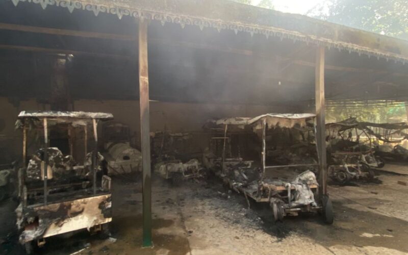 ਛੱਤਬੀੜ ਚਿੜੀਆਘਰ ‘ਚ ਅੱਗ ਲੱਗਣ ਨਾਲ ਸੜ ਗਏ 18 ਈ-ਰਿਕਸ਼ਾ, ਕੋਈ ਜਾਨੀ ਨੁਕਸਾਨ ਨਹੀਂ