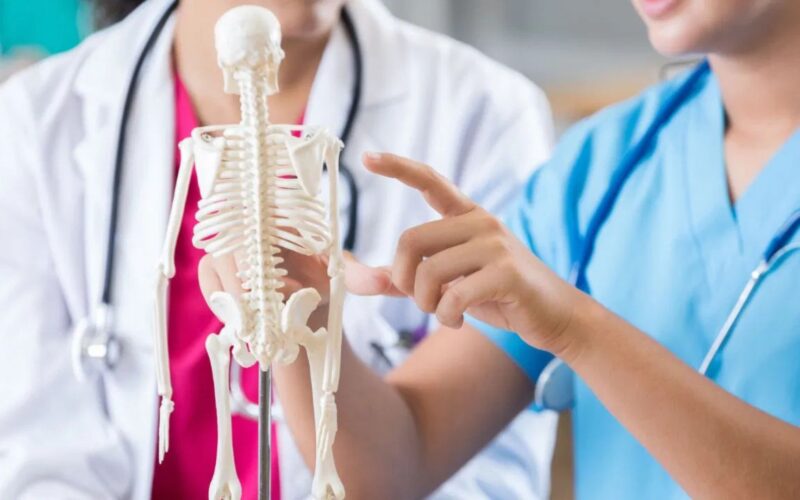 ਕਮਜ਼ੋਰ ਹੱਡੀਆਂ ਇੱਕ ਵੱਡੀ ਸਮੱਸਿਆ ਬਣ ਸਕਦੀਆਂ; ਮਾਹਰਾਂ ਤੋਂ ਸਿੱਖੋ ਕਿ ਹੱਡੀਆਂ ਦੀ ਮਜ਼ਬੂਤ ​​ਸਿਹਤ ਕਿਵੇਂ ਬਣਾਈ