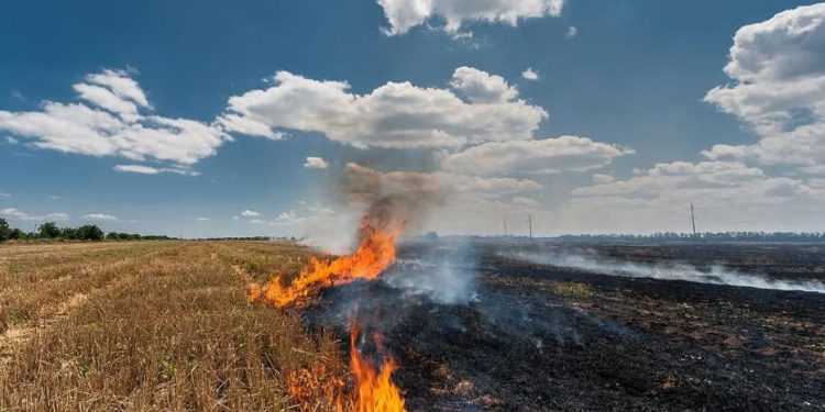 ਪੰਜਾਬ ‘ਚ ਪਰਾਲੀ ਸਾੜਨ ਦੇ ਮਾਮਲਿਆਂ ਨੂੰ ਲੈ ਕੇ ਆਈ ਵੱਡੀ ਗਿਰਾਵਟ