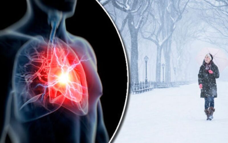 ਸਰਦੀਆਂ ਦੀਆਂ ਸਵੇਰਾਂ ‘ਚ ਦਿਲ ਦੇ ਦੌਰੇ ਦਾ ਕਿਉਂ ਵੱਧ ਜਾਂਦਾ ਹੈ ਖ਼ਤਰਾ? ਕਾਰਨਾਂ, ਲੱਛਣਾਂ ਤੇ ਰੋਕਥਾਮ ਦੇ ਤਰੀਕਿਆਂ ਬਾਰੇ ਜਾਣੋ