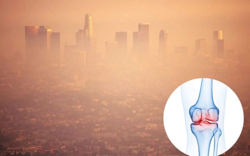 ਪ੍ਰਦੂਸ਼ਣ ਹੁਣ ਹੱਡੀਆਂ ਤੇ ਜੋੜਾਂ ‘ਤੇ ਵੀ ਹਮਲਾ ਕਰ ਰਿਹਾ, ਏਮਜ਼ ਦੇ ਅਧਿਐਨ ‘ਚ ਹੈਰਾਨ ਕਰਨ ਵਾਲਾ ਖੁਲਾਸਾ