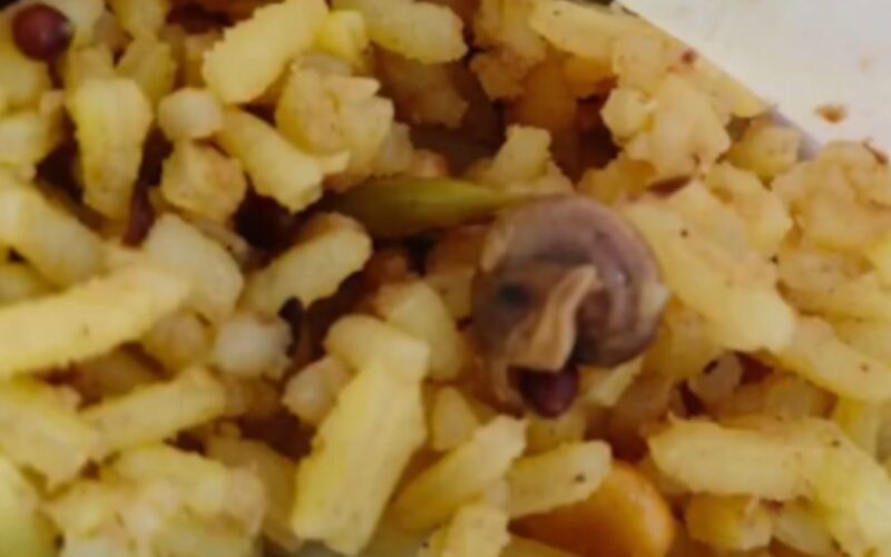 ਸਿਮਹਾਚਲਮ ਮੰਦਰ ਦੇ ਪ੍ਰਸ਼ਾਦ ‘ਚ ਘੋਗੇ ਦੇ ਦਾਅਵੇ ਨੂੰ ਲੈ ਕੇ ਖੜ੍ਹਾ ਵਿਵਾਦ; ਵਾਇਰਲ ਵੀਡੀਓ ਦੀ ਪੁਲਿਸ ਜਾਂਚ ਸ਼ੁਰੂ