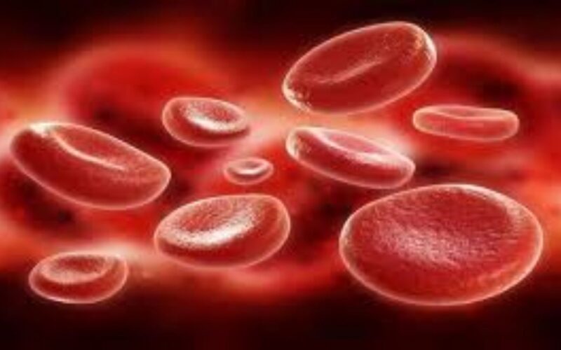 ਸਰਦੀਆਂ ‘ਚ ਪਲੇਟਲੈਟਸ ਕਿਉਂ ਘੱਟ ਜਾਂਦੇ ਹਨ? ਕਾਰਨਾਂ, ਲੱਛਣਾਂ ਤੇ ਰੋਕਥਾਮ ਦੇ ਉਪਾਵਾਂ ਬਾਰੇ ਜਾਣੋ