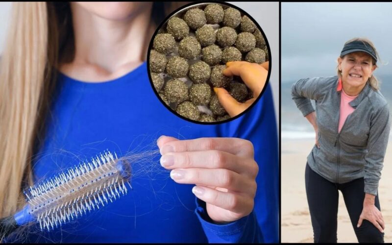 ਵਾਲਾਂ ਦਾ ਝੜਨਾ ਤੇ ਕਮਜ਼ੋਰ ਹੱਡੀਆਂ? ਕੈਲਸ਼ੀਅਮ ਨਾਲ ਭਰਪੂਰ ਬੀਜਾਂ ਦੇ ਬਿਨਾਂ ਖੰਡ ਜਾਂ ਗੁੜ ਦੇ ਬਣਾਓ ਇਹ ਲੱਡੂ