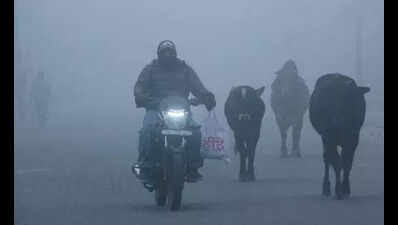 ਪੰਜਾਬ-ਚੰਡੀਗੜ੍ਹ ਵਿੱਚ ਮੀਂਹ ਤੇ ਗੜੇਮਾਰੀ- ਹਿਮਾਚਲ ਵਿੱਚ ਬਰਫ਼ਬਾਰੀ