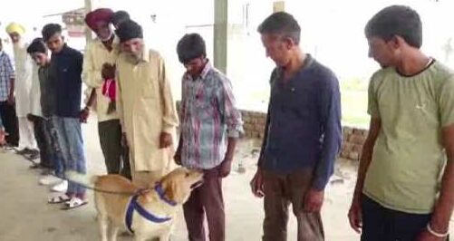 ਕਪੂਰਥਲਾ ਜੇਲ੍ਹ ਵਿੱਚ ਡਰੋਨ ਰਾਹੀਂ ਸੁੱਟਿਆ ਨਸ਼ਾ; ਤਲਾਸ਼ੀ ਦੌਰਾਨ ਤੰਬਾਕੂ, ਸਿਗਰਟਾਂ ਤੇ ਹੋਰ ਸਾਮਾਨ ਬਰਾਮਦ