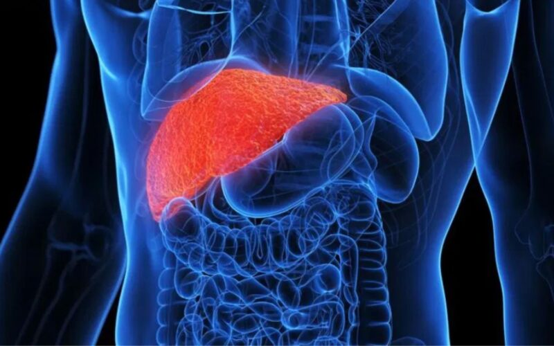 ਸ਼ਰਾਬ ਤੋਂ ਬਿਨਾਂ ਵੀ ਜਿਗਰ ਦੀਆਂ ਬਿਮਾਰੀਆਂ ਵੱਧ ਰਹੀਆਂ; ਮਾਹਿਰਾਂ ਨੇ ਦੱਸਿਆ ਕਾਰਨਾਂ ਤੇ ਰੋਕਥਾਮ ਬਾਰੇ