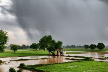 ਪੰਜਾਬ ‘ਚ ਅੱਜ ਮੁੜ ਮੌਸਮ ਖ਼ਰਾਬ, ਤੇਜ਼ ਹਵਾਵਾਂ ਦੇ ਨਾਲ ਗੜ੍ਹੇਮਾਰੀ ਦਾ ਅਲਰਟ; ਬਾਰਿਸ਼ ਦੀ ਵੀ ਭਵਿੱਖਬਾਣੀ