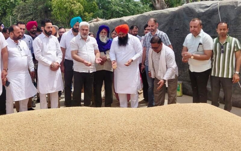 ਪੰਜਾਬ ‘ਚ ਕਣਕ ਦੀ ਖਰੀਦ ਜ਼ੋਰਾਂ ‘ਤੇ: 28 ਲੱਖ ਮੀਟਰਿਕ ਟਨ ਆਮਦ ‘ਚੋਂ 24 ਲੱਖ ਮੀਟਰਿਕ ਟਨ ਖਰੀਦੀ
