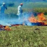 ਪਰਾਲੀ ਪ੍ਰਬੰਧਨ ਲਈ ਪੰਜਾਬ ਸਰਕਾਰ ਵੱਲੋਂ 600 ਕਰੋੜ ਰੁਪਏ ਮਨਜ਼ੂਰ