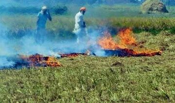 ਪਰਾਲੀ ਪ੍ਰਬੰਧਨ ਲਈ ਪੰਜਾਬ ਸਰਕਾਰ ਵੱਲੋਂ 600 ਕਰੋੜ ਰੁਪਏ ਮਨਜ਼ੂਰ