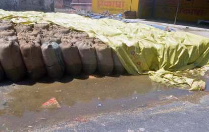 बारिश ने लुधियाना अनाज मंडी में बुनियादी ढांचे की कमियों को उजागर किया, किसान गेहूं बचाने के लिए जूझे