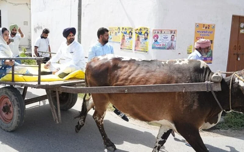 ਰਾਜਾ ਵੜਿੰਗ ਬੈਲਗੱਡੀ ’ਤੇ ਪਹੁੰਚੇ ਵੋਟ ਪਾਉਣ, ਮਹਿੰਗੇ ਇੰਧਨ ਖ਼ਿਲਾਫ਼ ਕੀਤਾ ਪ੍ਰਦਰਸ਼ਨ