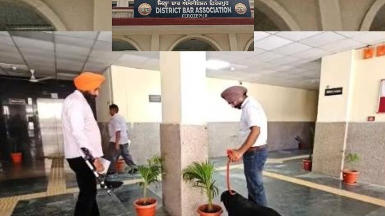 ਫਿਰੋਜ਼ਪੁਰ ਕੋਰਟ ਕੰਪਲੈਕਸ ਨੂੰ ਬੰਬ ਦੀ ਧਮਕੀ, ਪੁਲਿਸ ਨੇ ਸ਼ੁਰੂ ਕੀਤੀ ਤਲਾਸ਼ੀ ਮੁਹਿੰਮ