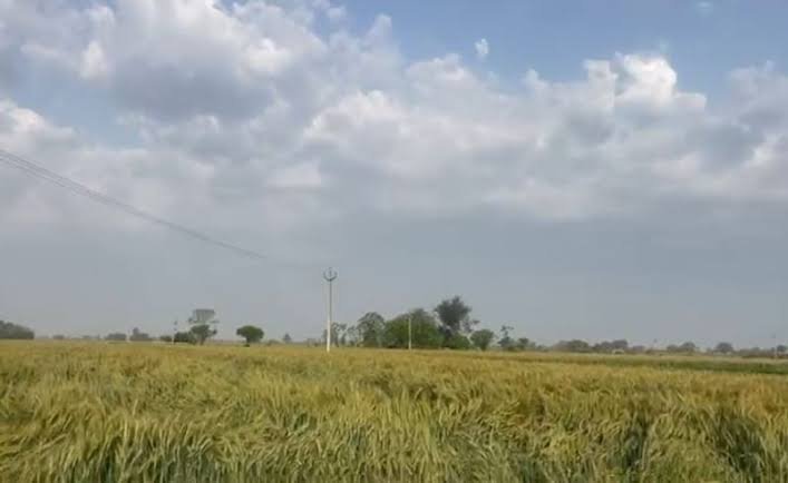 ਪੰਜਾਬ ਤੇ ਚੰਡੀਗੜ੍ਹ ‘ਚ ਜਲਦ ਬਦਲੇਗਾ ਮੌਸਮ- ਮੌਸਮ ਵਿਭਾਗ